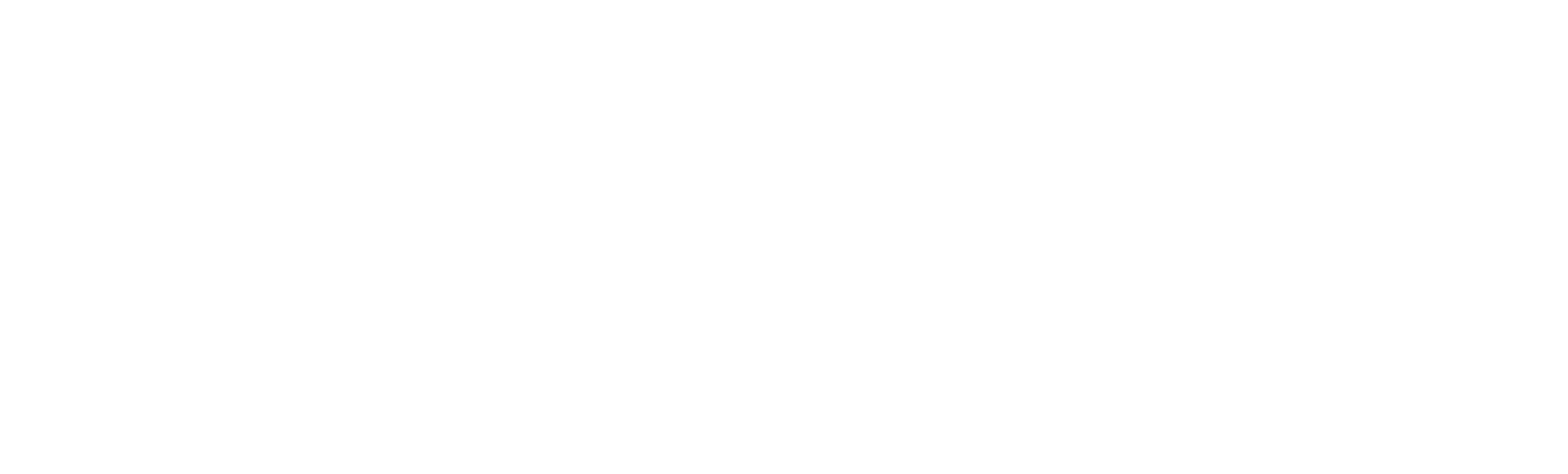 logo_sonoracoaching_light