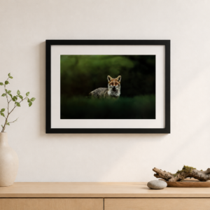 Peinture murale de renard