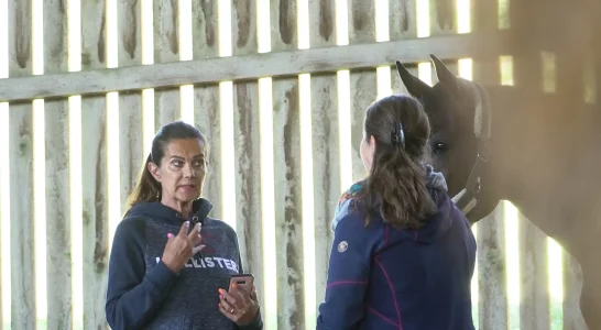 Pferdegestütztes Training mit der Trainerin Caroline Wyss und einer Coaching-Teilnehmerin. Im Hintergrund ein Pferd.